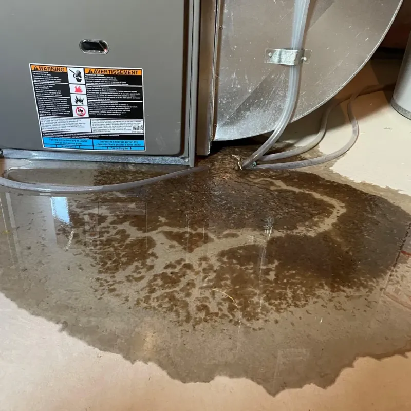 Appliance Leak Cleanup in Bessemer City, NC